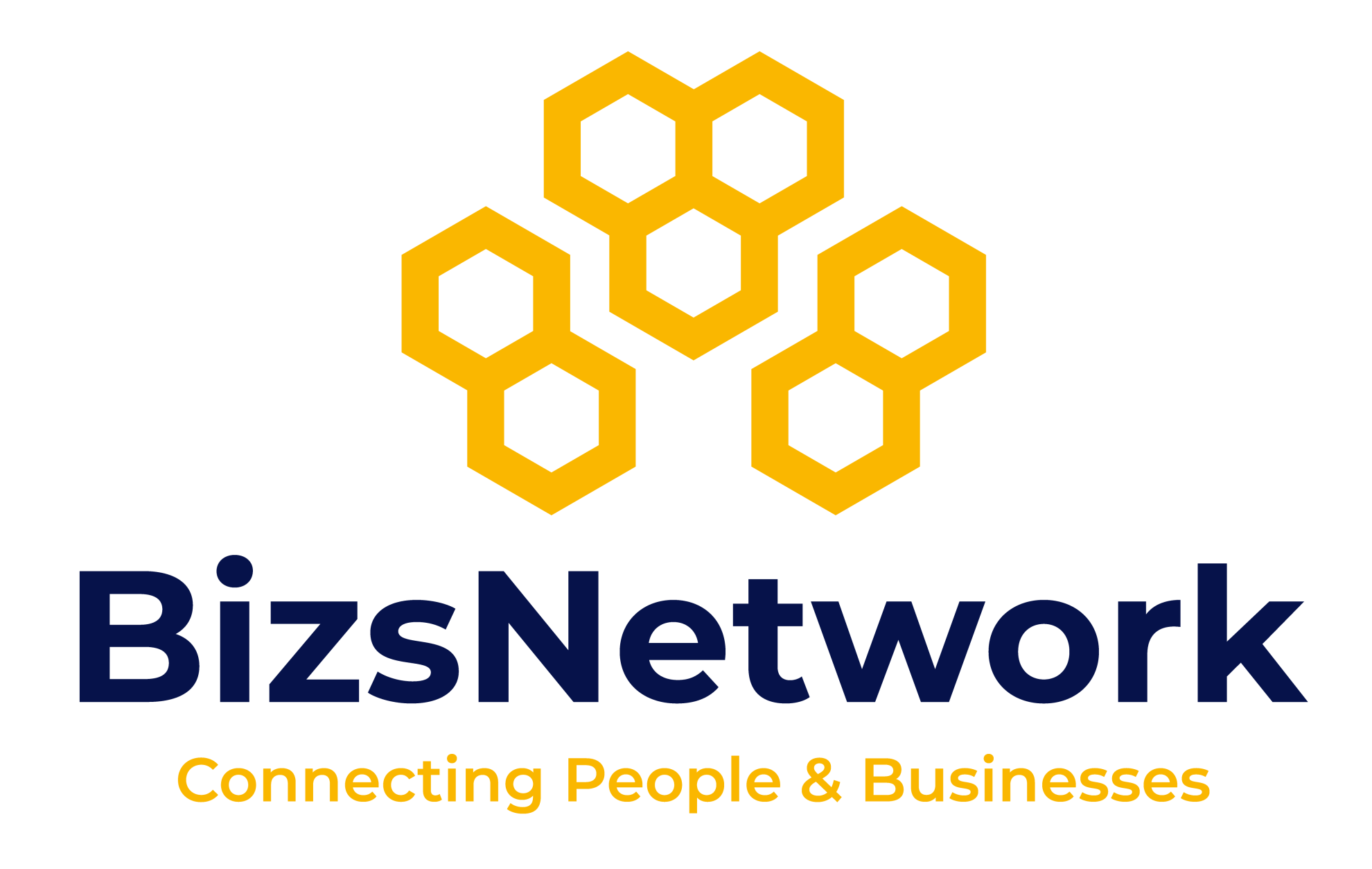 BizsNetwork Logo